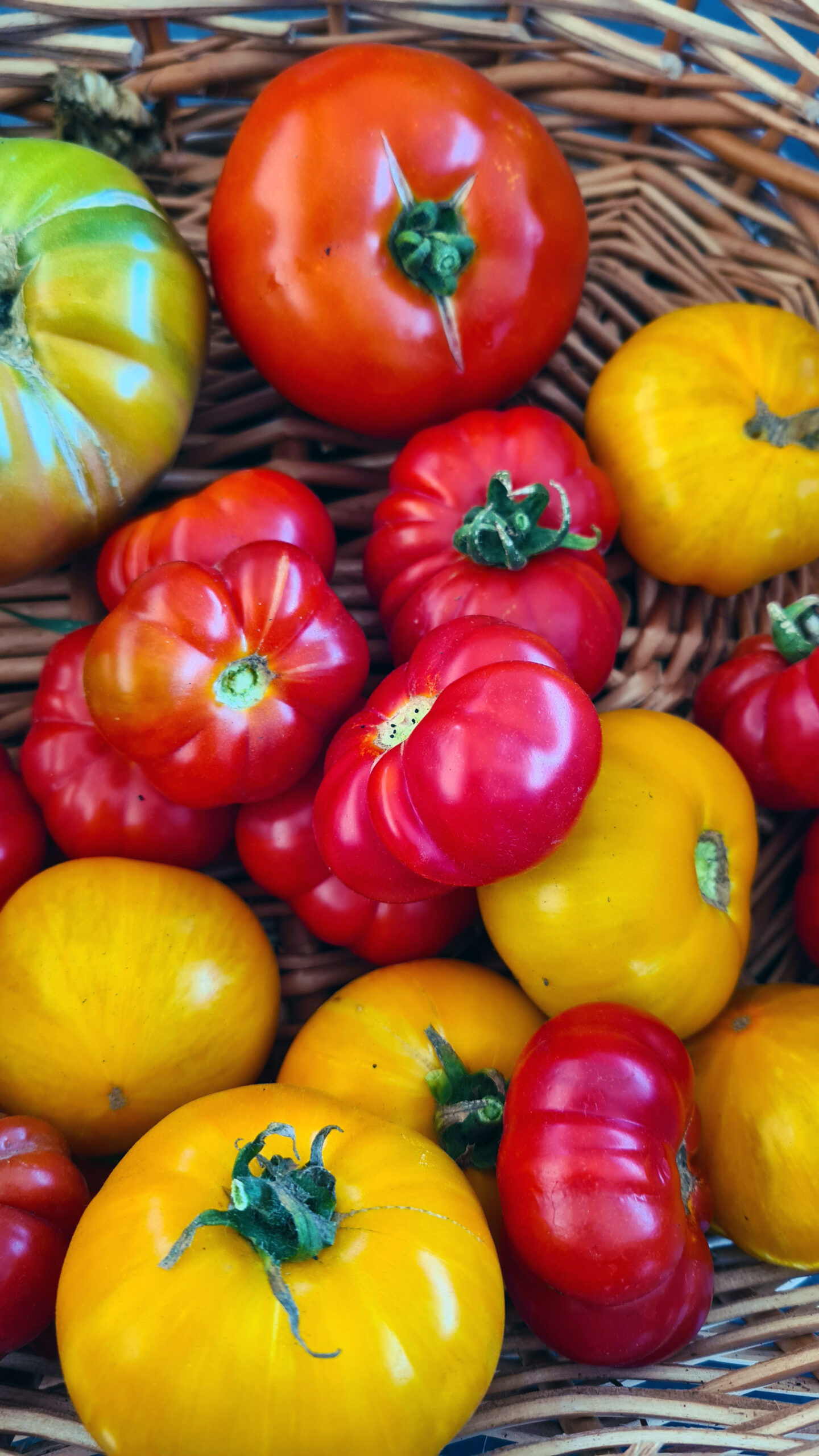 best heirloom tomatoes