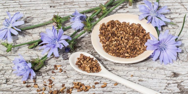 chicory prebiotic foods