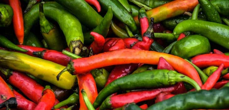 health Benefits of Eating Chili