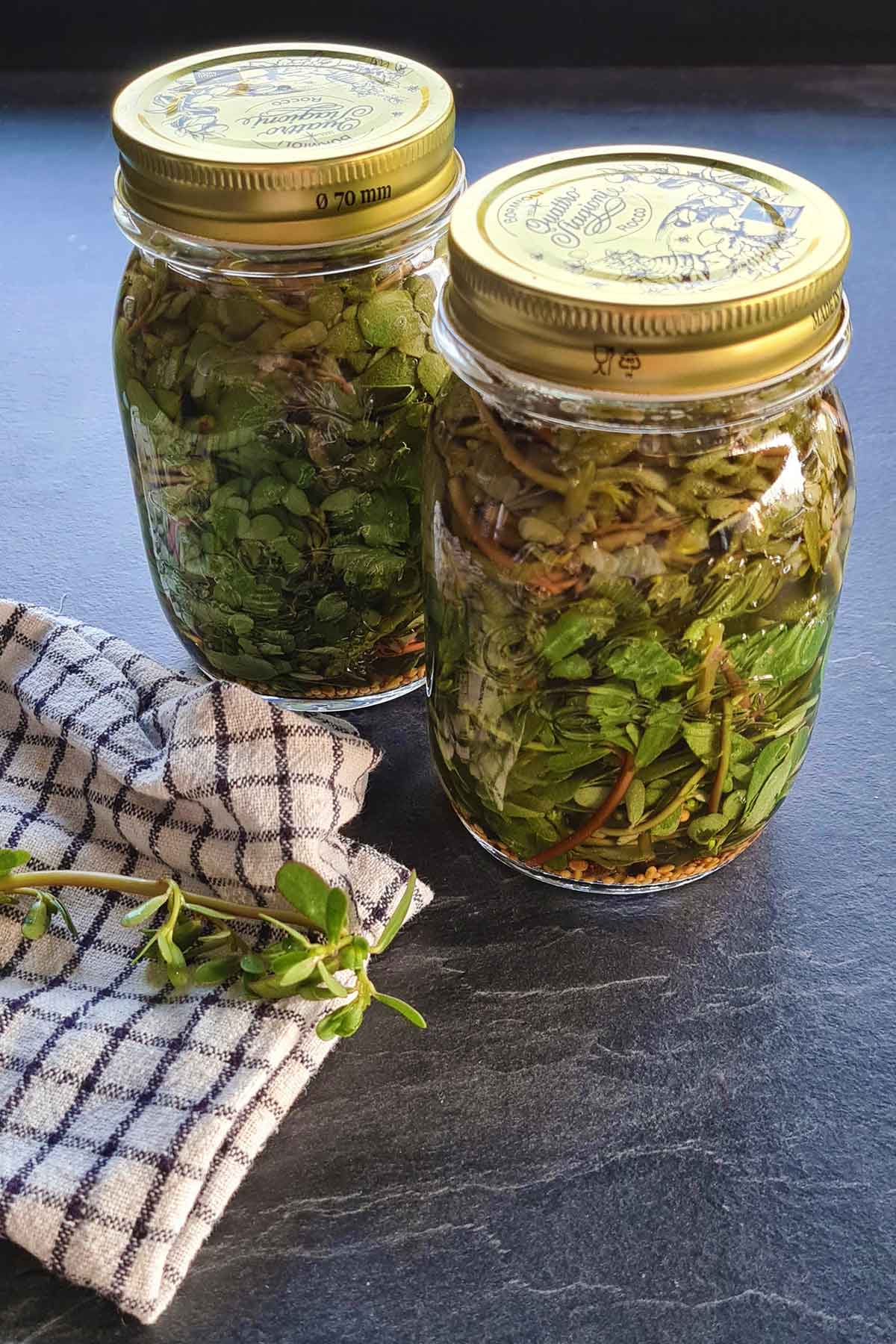 how to make pickled purslane