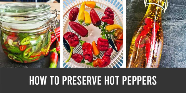 how to preserve hot peppers