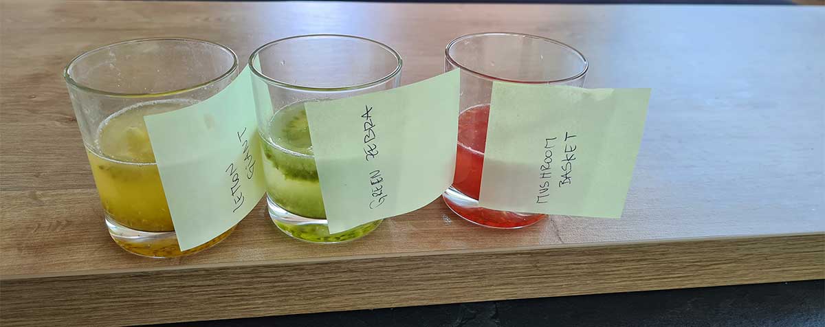 how to save tomato seeds-fermenting-method-metoda-fermentarii-pentru-semintele-de-rosii