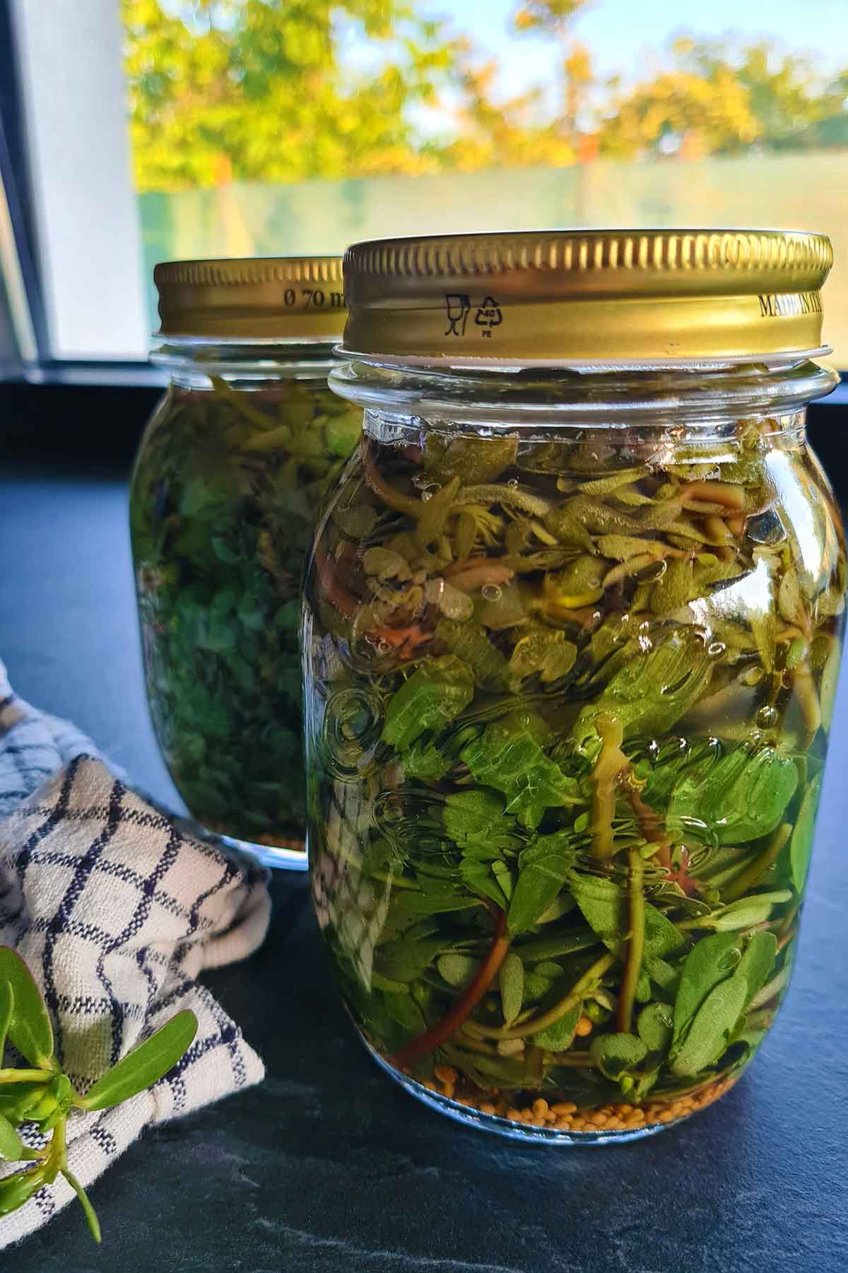 pickled purslane