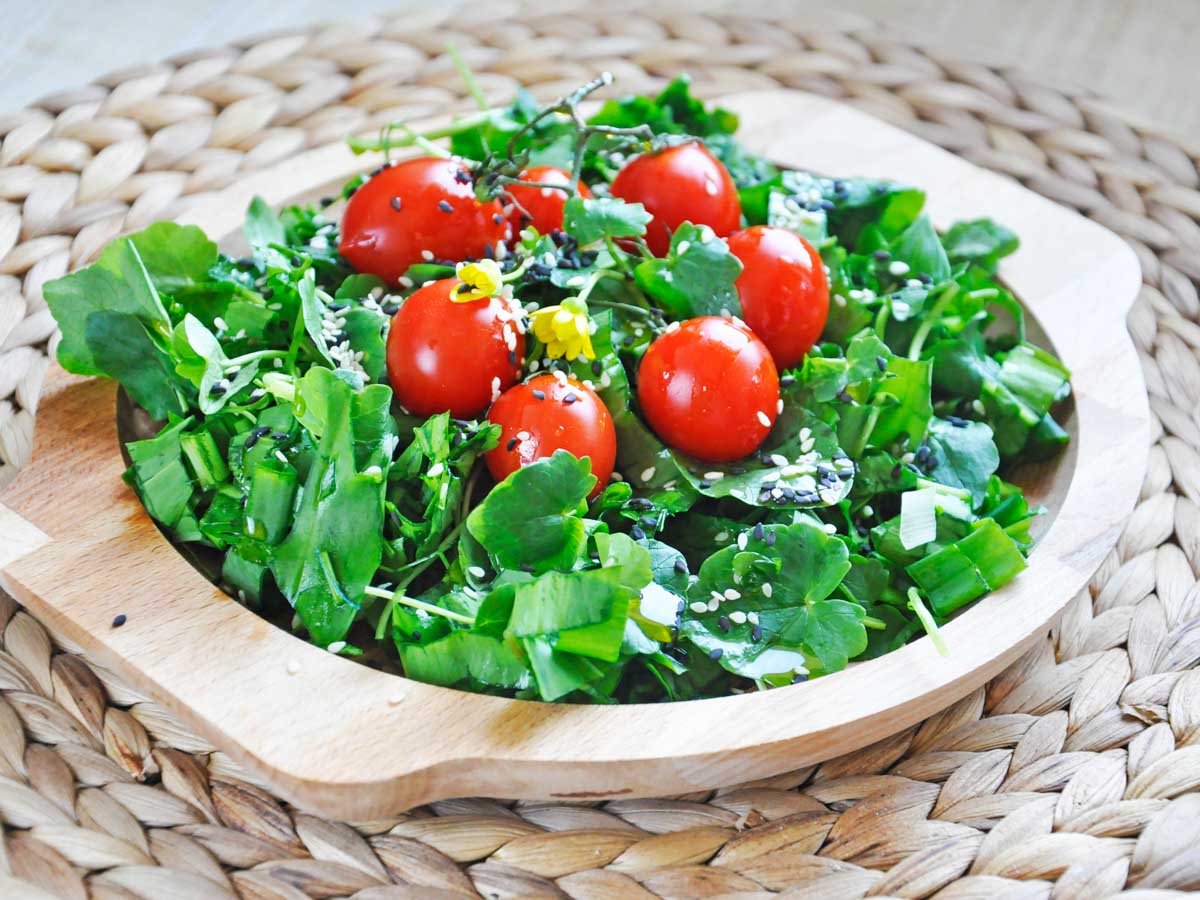 Spring Watercress Salad Balsamic Vinaigrette