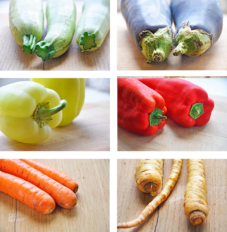 vegetarian diet plan